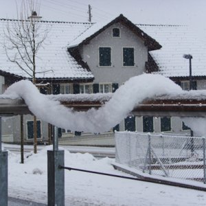 Die Natur ist in der Kreativität nicht zu überbieten.